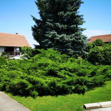 Apartment Dedine Galambóc Kültér fotó